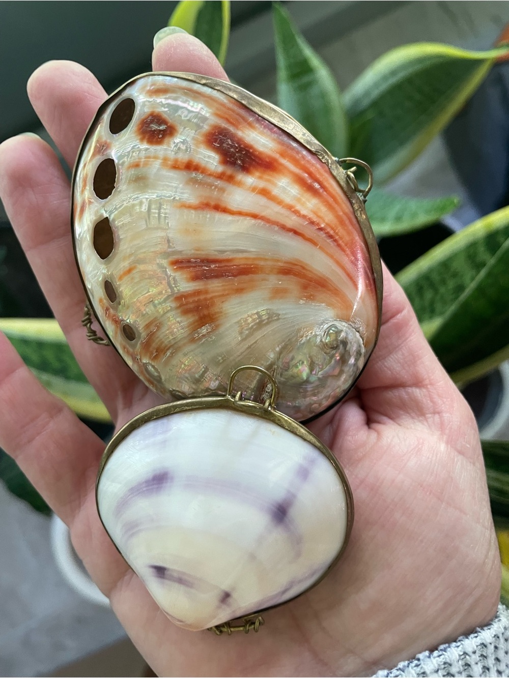 Set of two vintage seashell coin purses